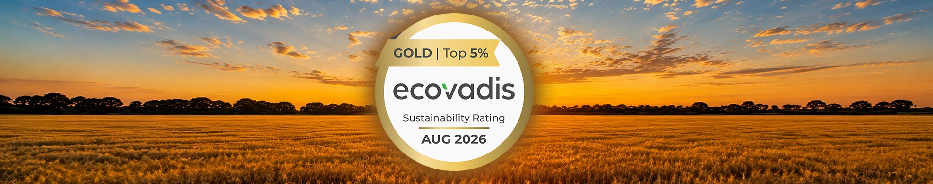 EcoVadis Gold Medal Tamlite Lighting EcoVadis Gold Medal Tamlite Lighting