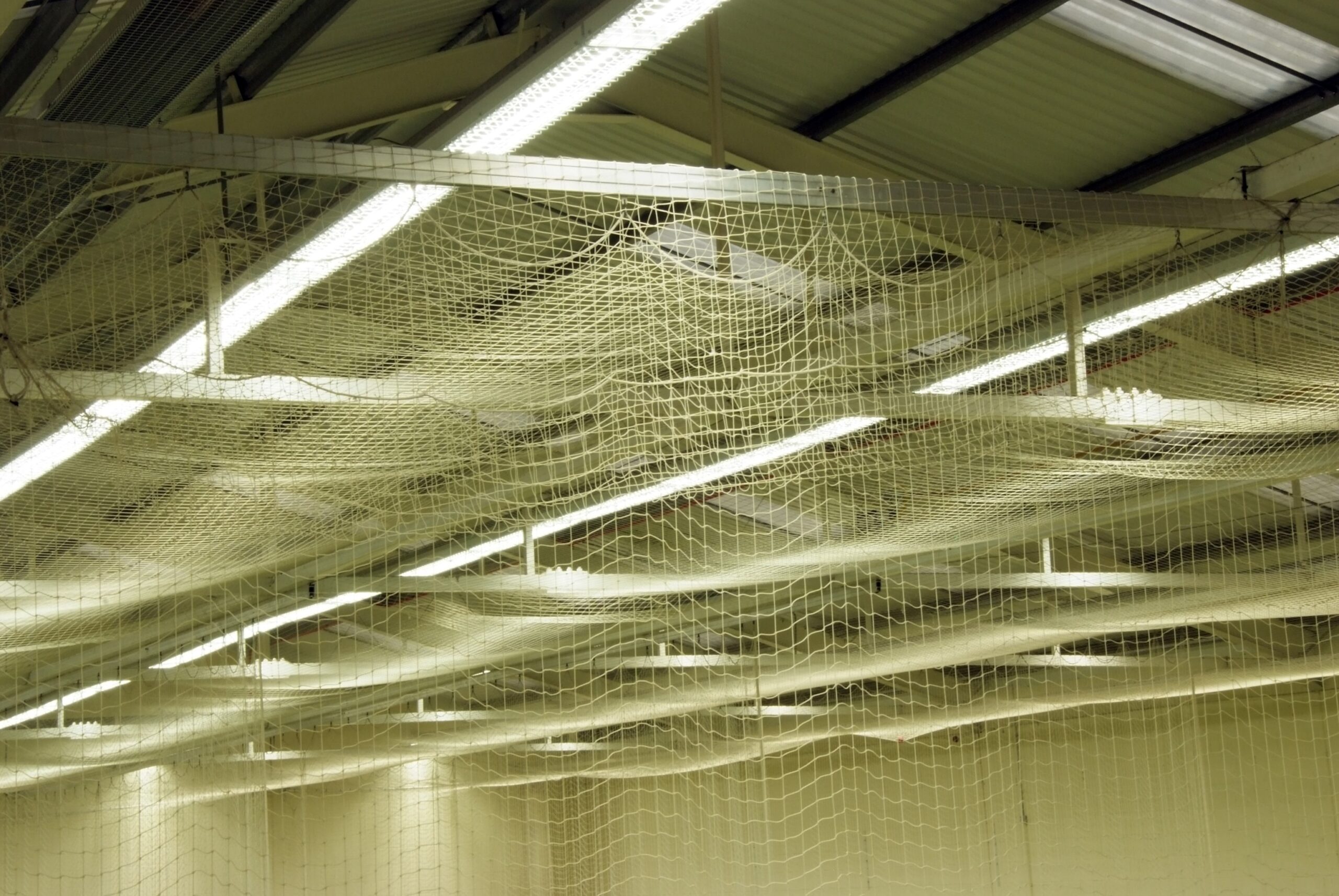 Tamlite Sheffield Hallam University lighting netting