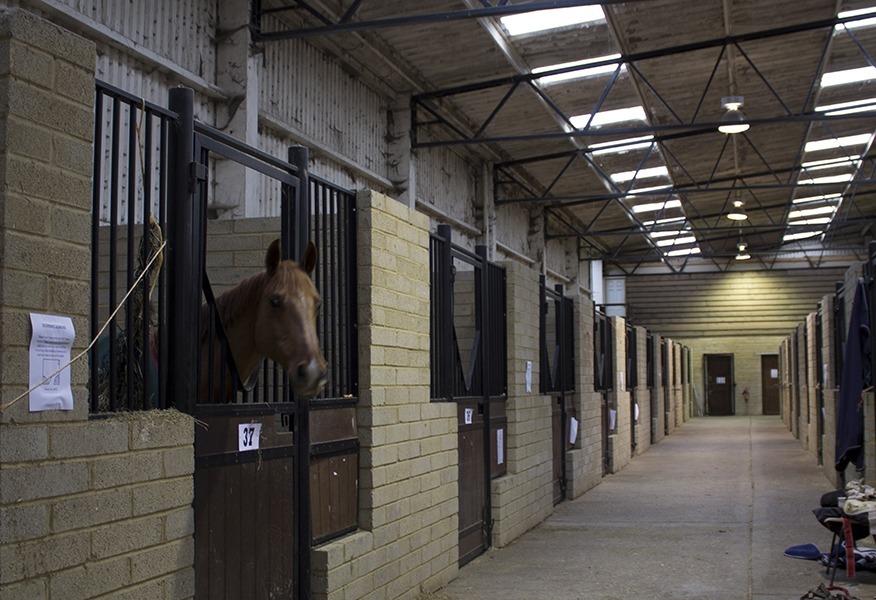 Bury Farm stables lighting horses Tamlite