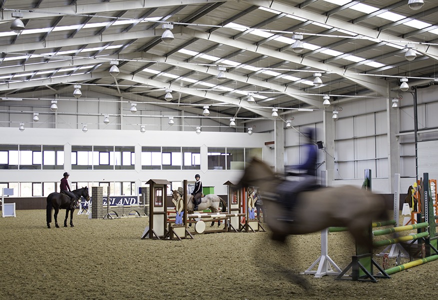 Tamlite Bury Farm horse riding stables lighting