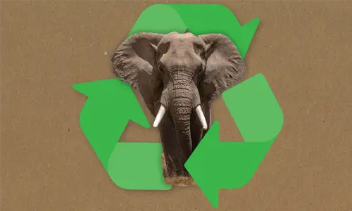 Elephant plastic waste removal Tamlite