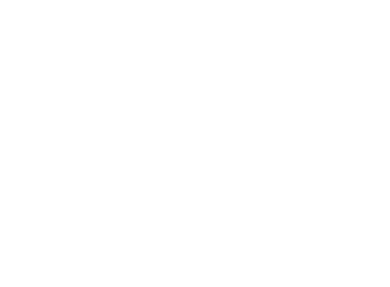 Tamlite logo