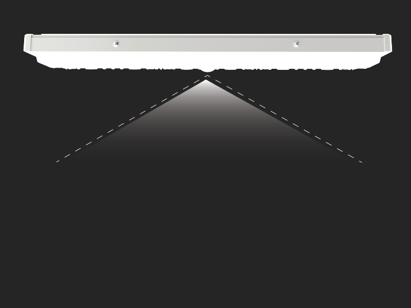 Expo extra wide beam