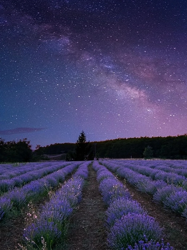 Dark skies CPD Tamlite