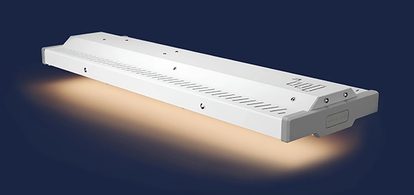 EXPO high bay lighting