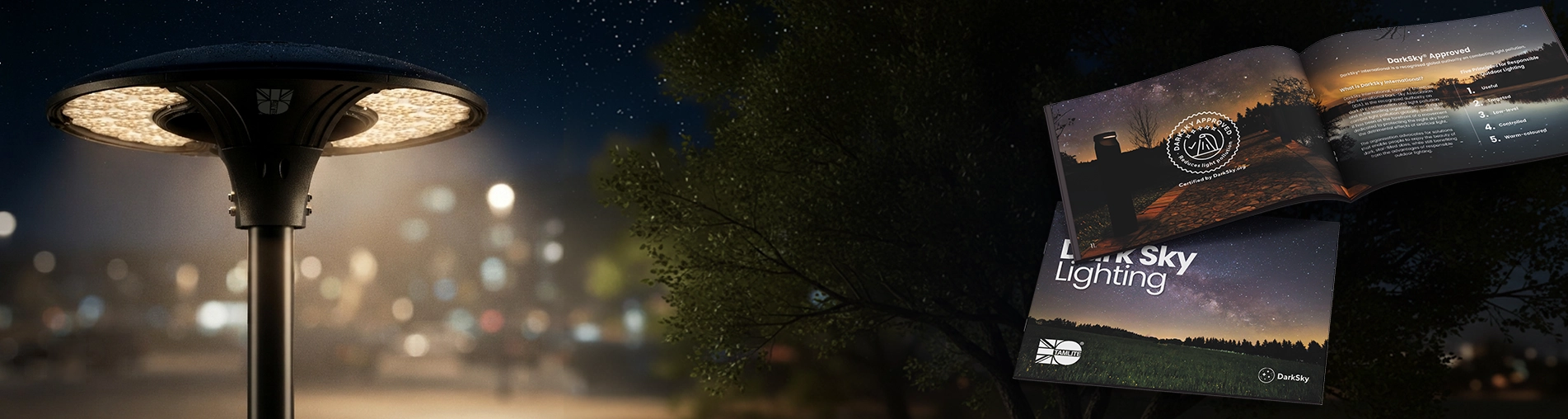 download DarkSky brochure
